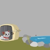 Free the Cats.jpg