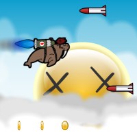 Rocket Walrus.jpg