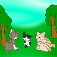 Three Little Cats.jpg